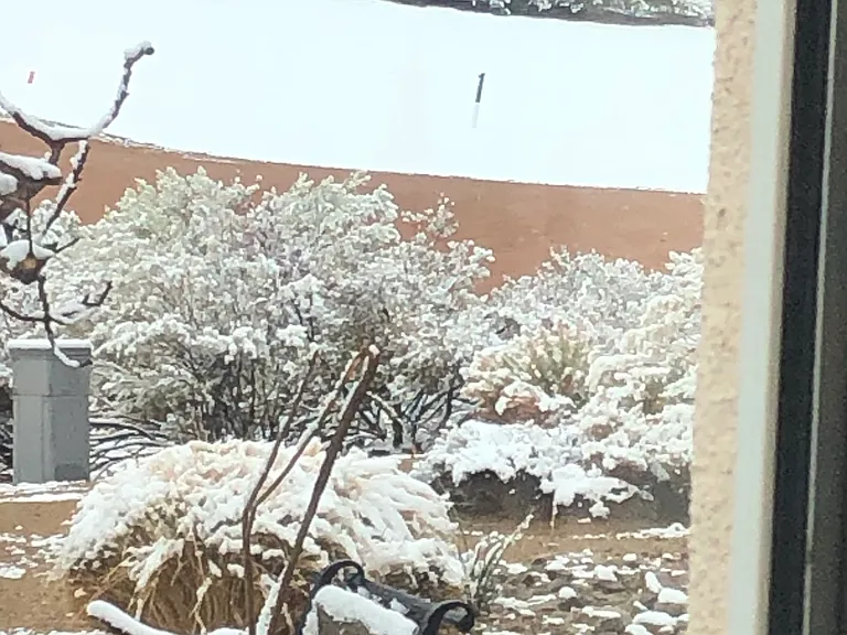 Snow day In Sumerlin