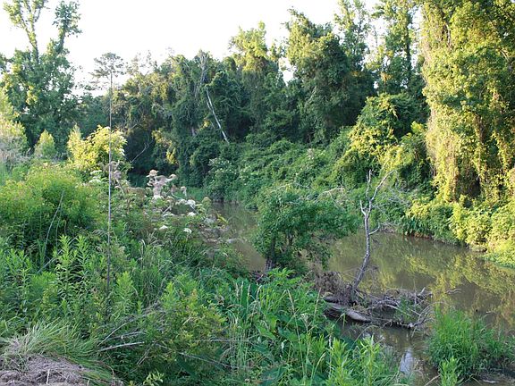 4th image of 13565 Rosewood Dr Lot 31