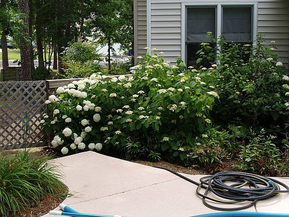 Pool view of backyard entrance
