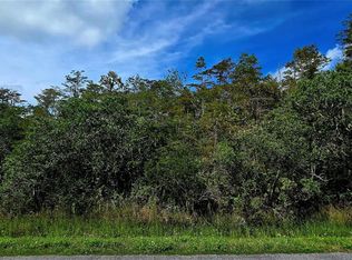 PIERRE AVENUE LOT 162, ST CLOUD, FL 34773