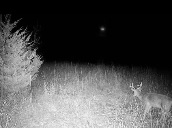 36707 Spring Valley Rd, Louisburg, KS 66053