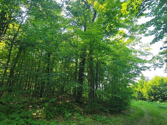 4th image of E Half Mile Rd