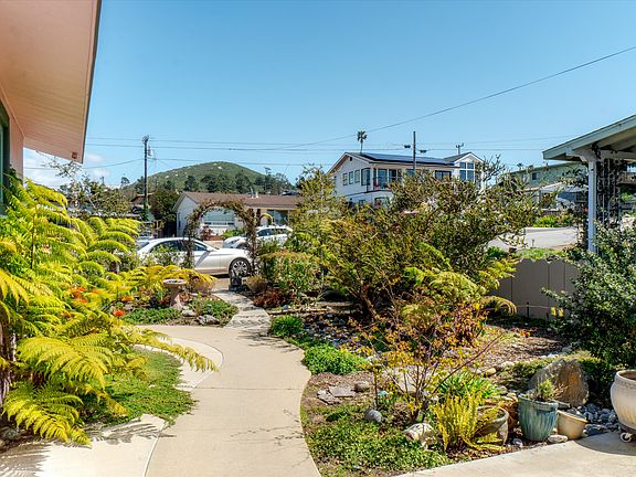 5th image of 469 Arbutus Ave