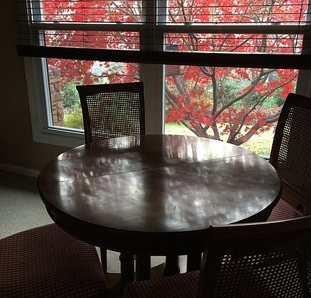View from Living Room
