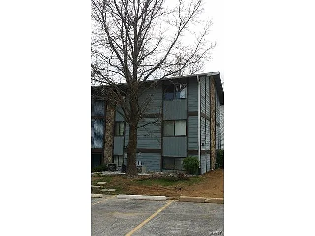1713 Gascony Parc Dr photo 1