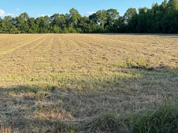 1010 Lynn Hardy Rd, Arnaudville, LA 70512