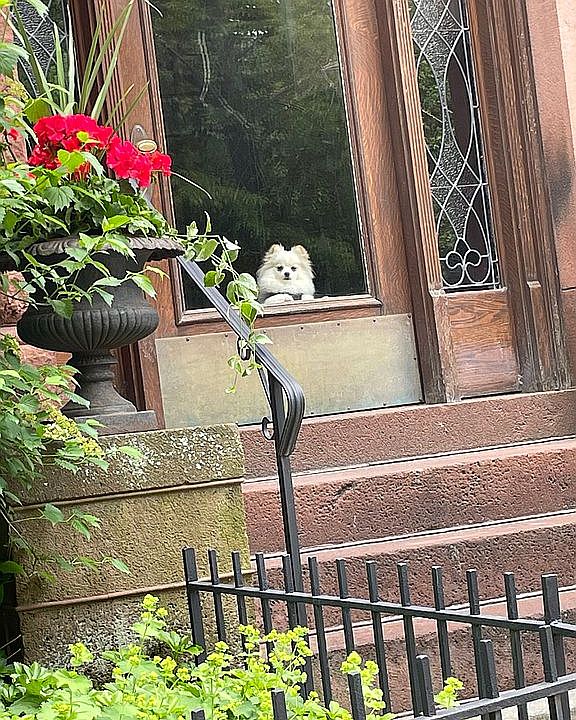Welcome Home! 