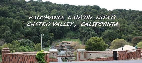 Get Your Camera Ready !! Fabulous Views ! Hike to the Top !!
