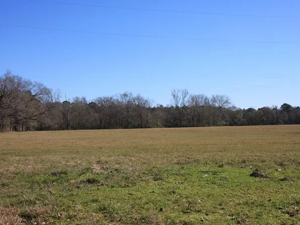 2 Highway 958, Slaughter, LA 70777