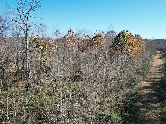3rd image of 0 Mallard Dr
