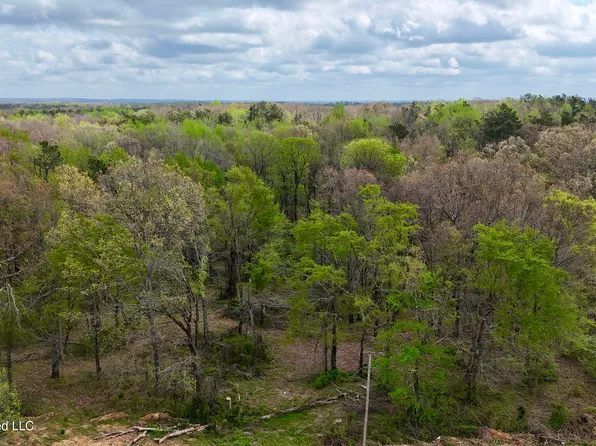 State Highway 7, Holly Springs, MS 38635