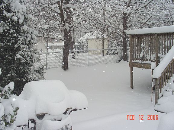 left side of back yard with snow