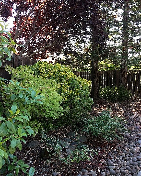 2nd image of 2510 Spring Ct