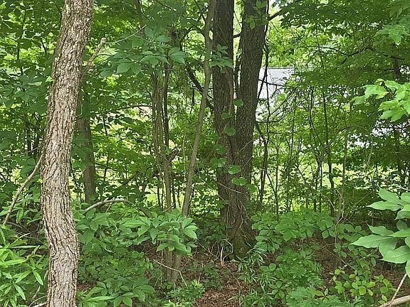 3rd image of 1040 Shady Grove Rd