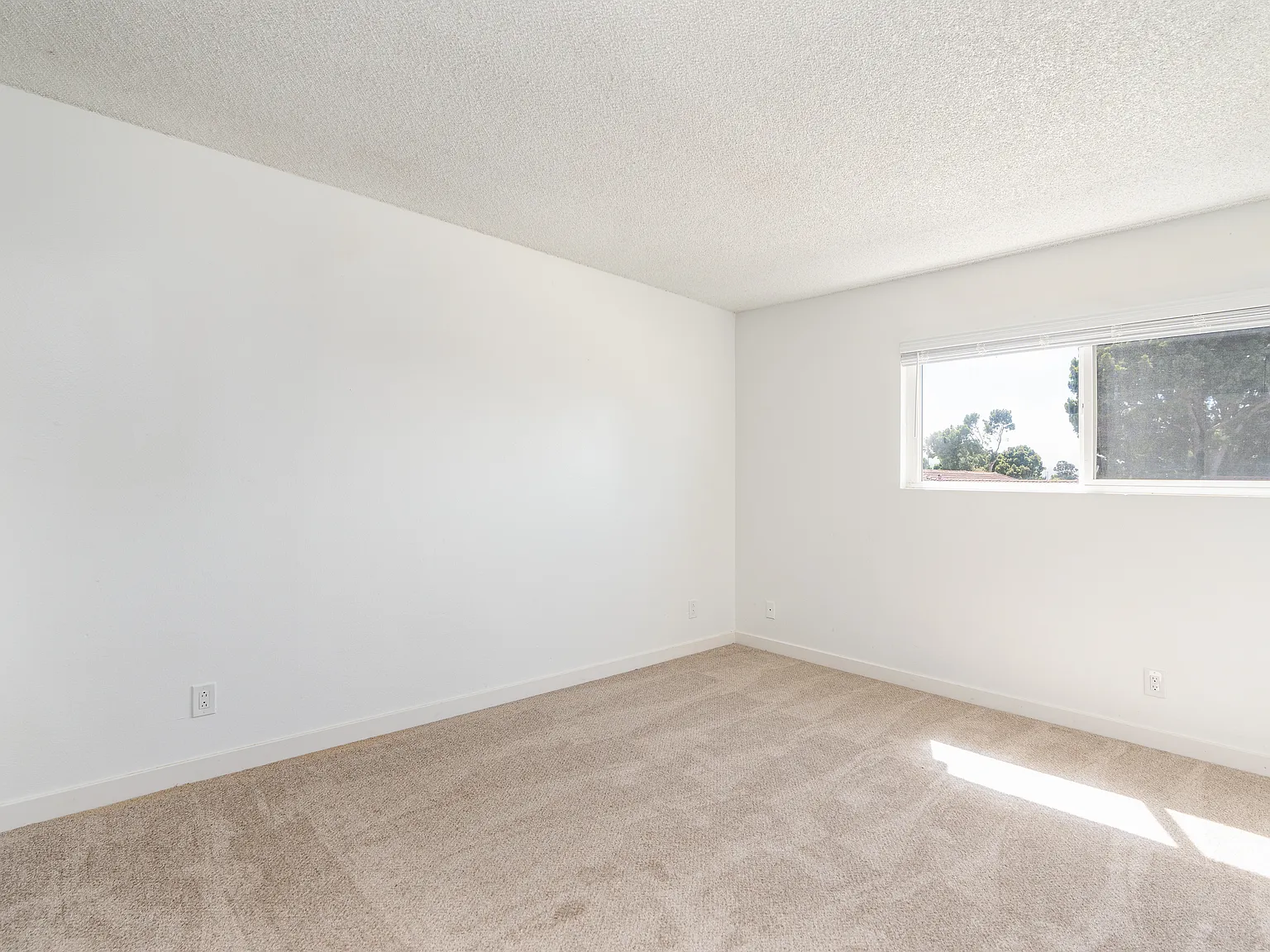 2 bed, 900 sqft, $1,950 — Photo 3