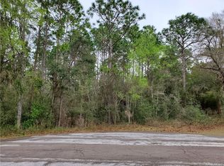 12001 S Gladiolus Point, Floral City, FL 34436