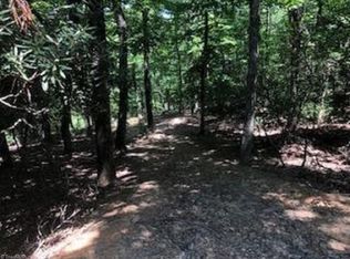 141 View Point Dr, Traphill, NC 28685