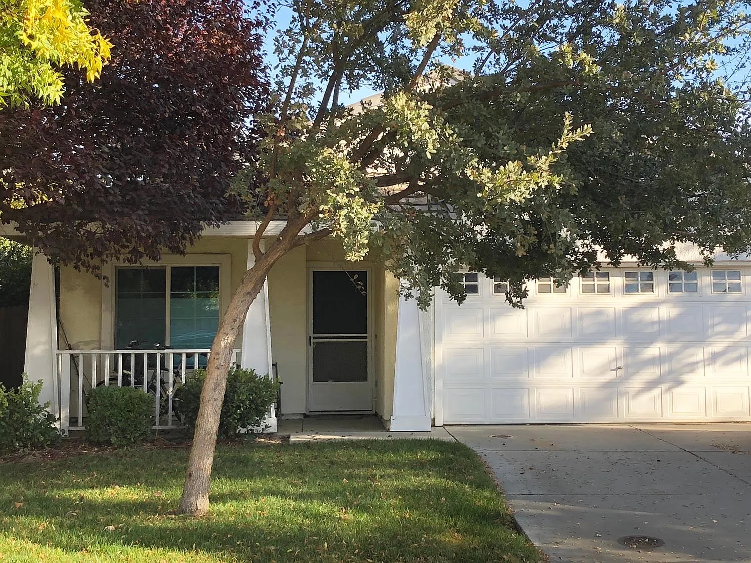 1448 Pastal Way photo 1