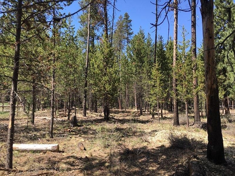 2nd image of 16362 Whitetail Ln