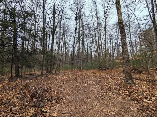 Tbd Diamond Road, Ellenville, NY 12428