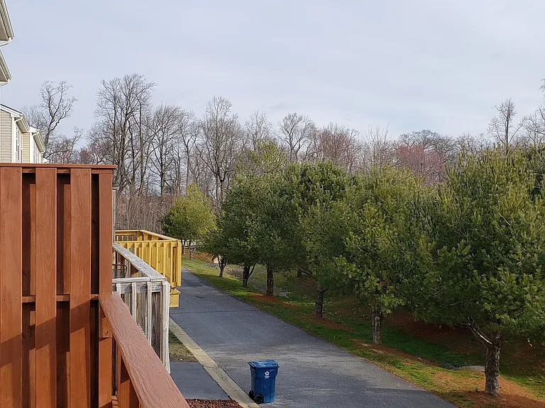 155 Tidbury Xing — Photo 99