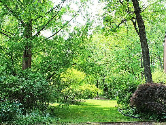 Side yard