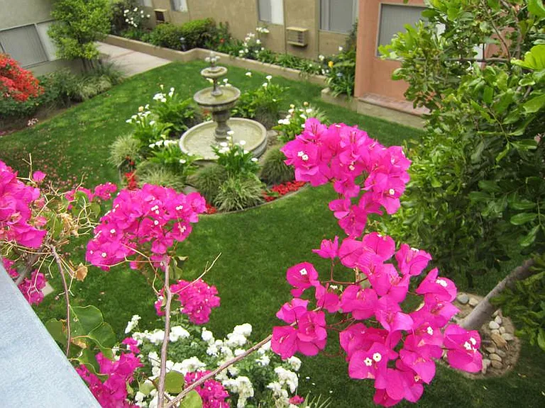 Rosewood Gardens — Photo 9