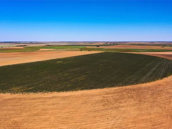 County Road 187, Rochester, TX 79544