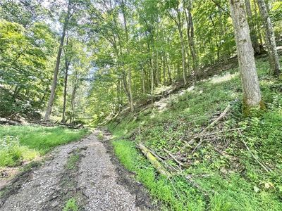 1588 Crummies Creek Rd, Arnoldsburg, WV, 25234