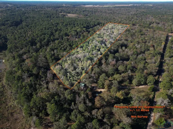 0 Fm 1002 N, Winnsboro, TX 75494