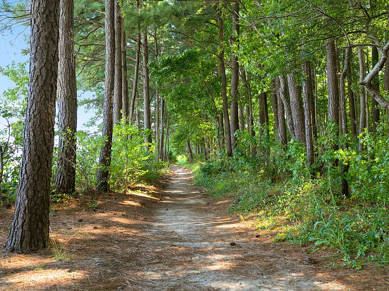Spyglass at Cedar Cove — Photo 23