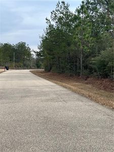 LOT 67 Warrior Trce, Covington, LA, 70435