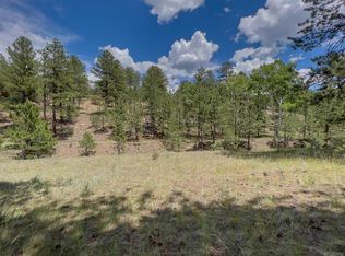 440 Wykagki Rd, Westcliffe, CO 81252