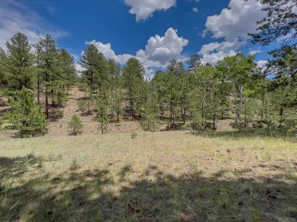 440 Wykagki Rd, Westcliffe, CO 81252