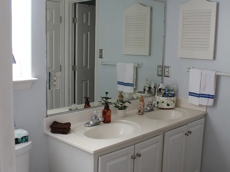 master bathroom