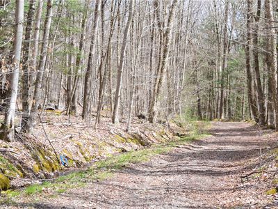 (Undisclosed Address), Andes, NY, 13731