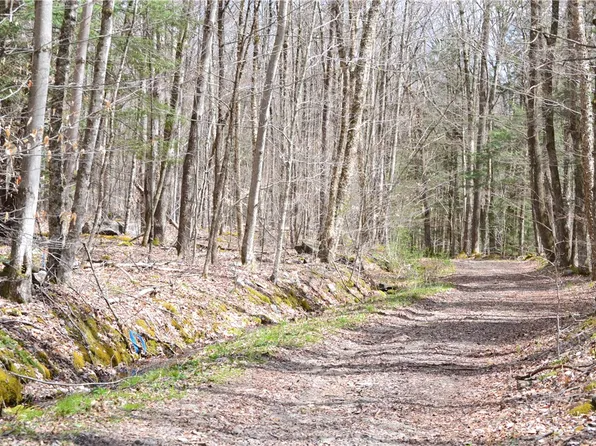 (undisclosed Address), Andes, NY 13731