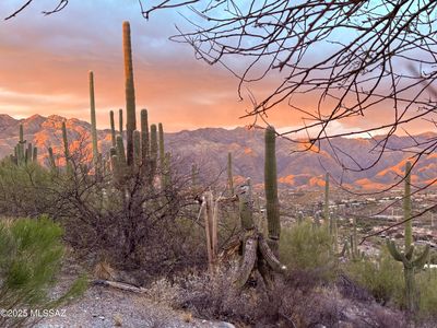 4460 N Trocha Alegre, Tucson, AZ, 85750