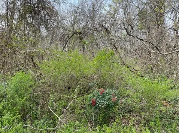 Old Walker Mill Rd Lot 2, Randleman, NC 27317