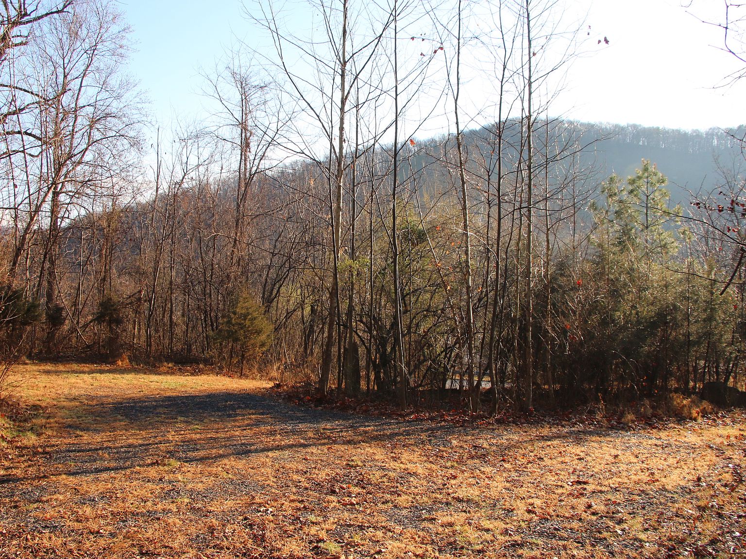 Buck Mountain Rd LOT WP001, Bentonville, VA 22610 Zillow