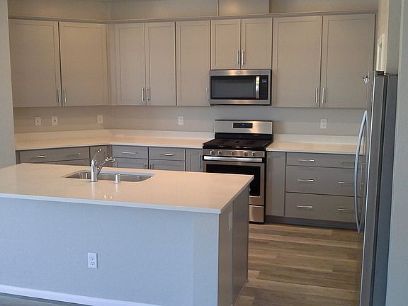 Quartz Cnters, Grey Cabinets