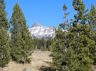 361 Ramshorn Ranch Rd, Dubois, WY 82513