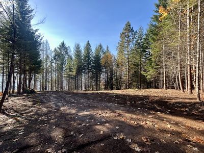 9562 Cook Underwood Rd, Underwood, WA, 98651