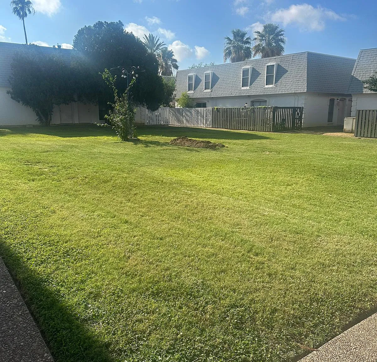 2 bed, 1.5 bath, 945 sqft, $1,200 — Photo 3