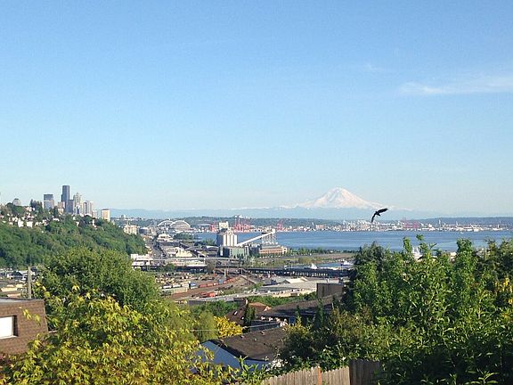 Unobstructed 180+ deg. View