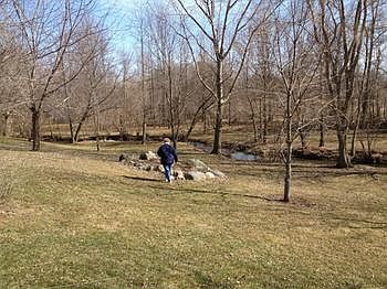 View of the river from your living room