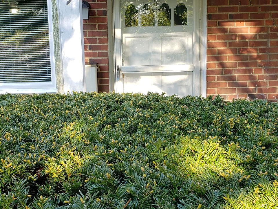 1st image of 4399 Fairway Dr
