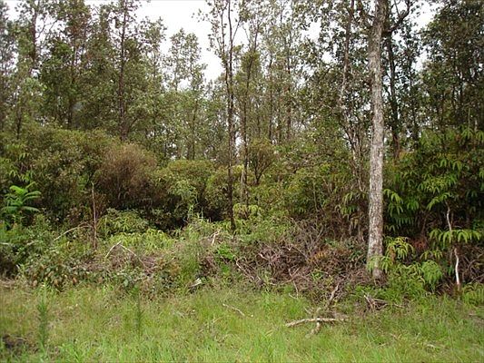 1st image of Pukalani Dr