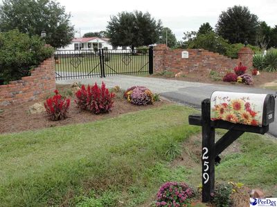 259 Coxe Rd E, Blenheim, SC, 29516