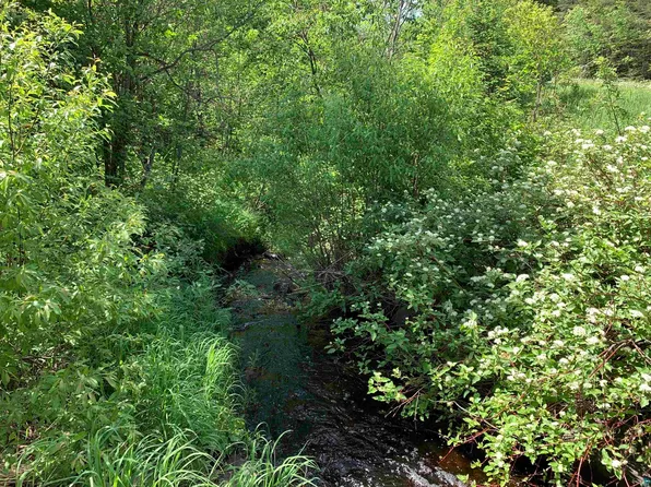 1X Brandon Ln, Grand Marais, MN 55604